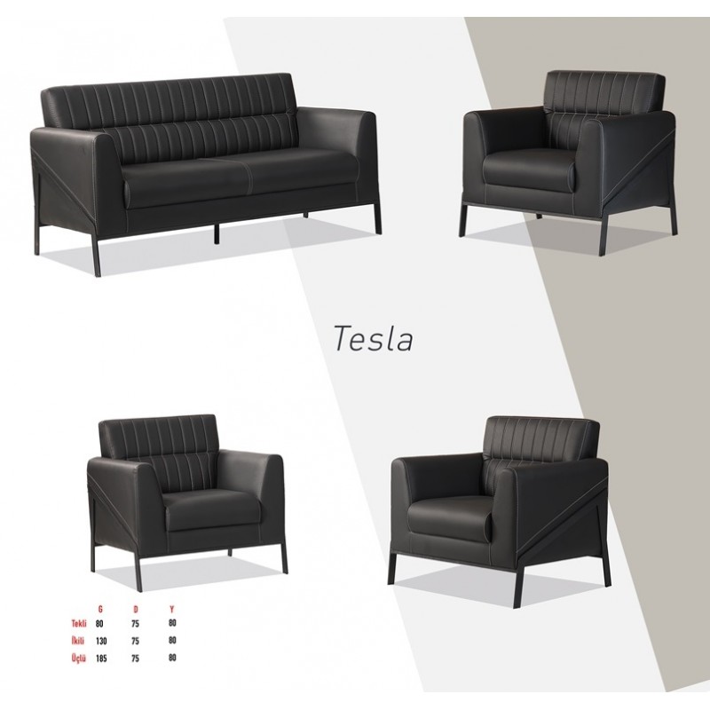 Tesla Koltuk Takımı