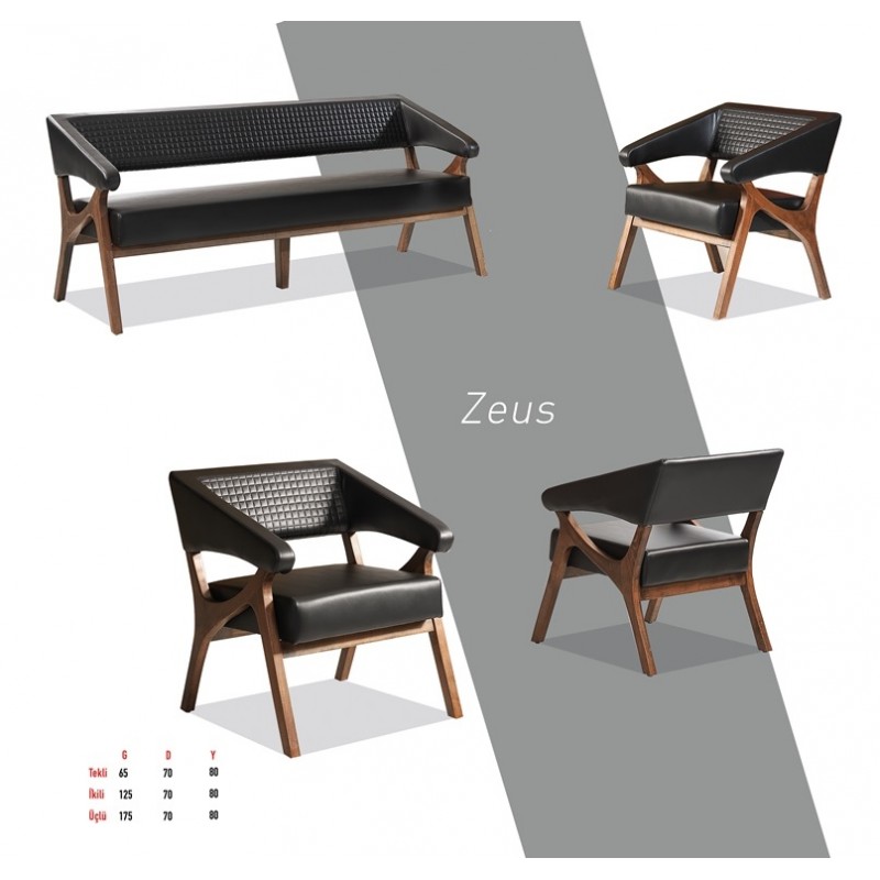 Zeus Koltuk Takımı